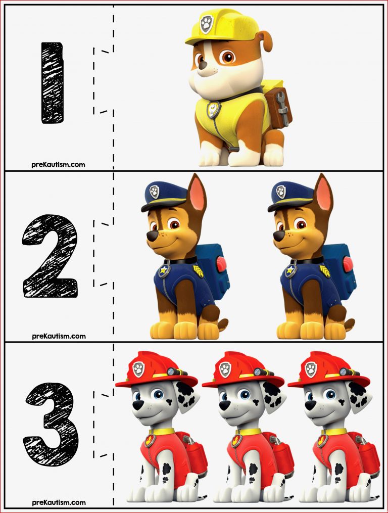 Paw Patrol Puzzles