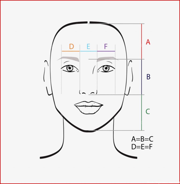 Perfecte Gezicht Verhoudingen Vectorillustratie