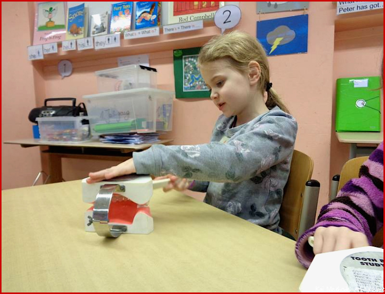 Petrischule Höxter Zahngesundheit