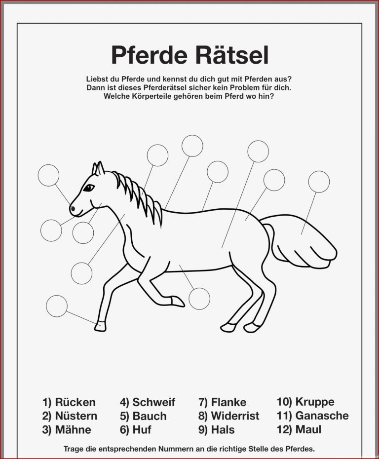 Pferd Anatomie Arbeitsblätter Pferd Anatomie