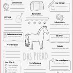 Pferde Arbeitsblätter Zum Ausdrucken Worksheets