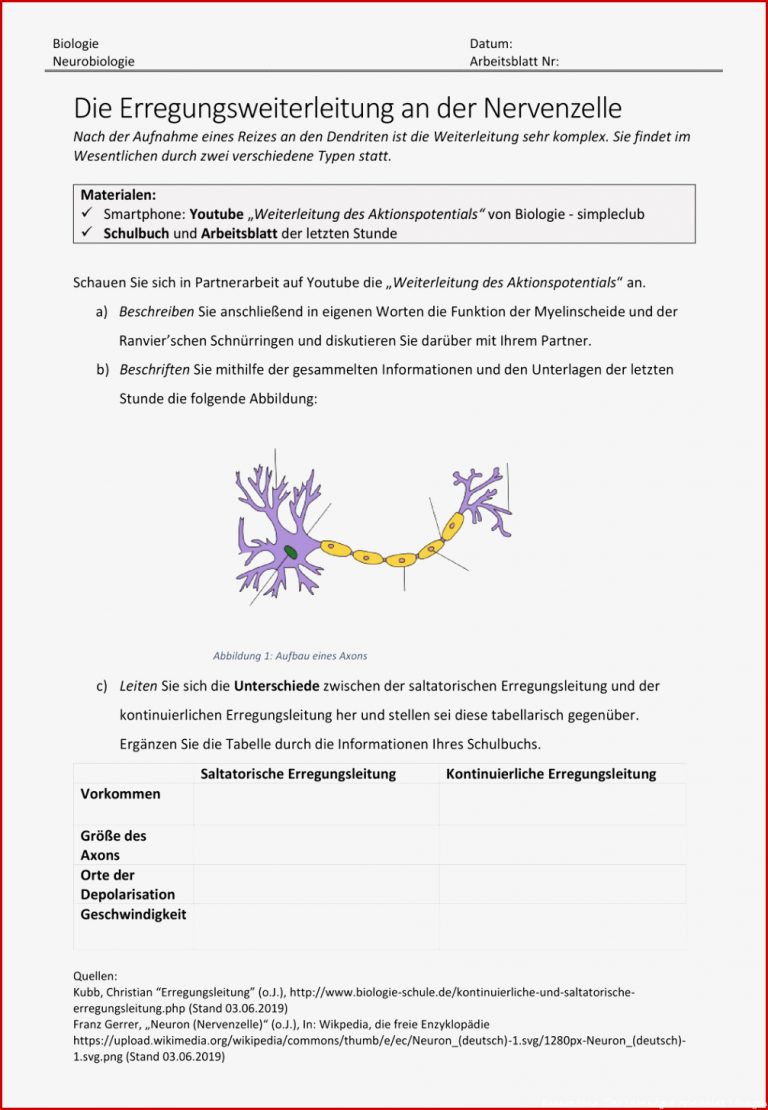 Pflanze Kennzeichen Des Lebendigen Arbeitsblatt Pdf