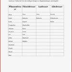 Pflanzenfress Er Fleischfresser Aasfresser Allesfresser