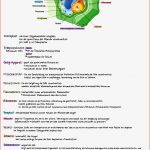 Pflanzenzellen Lernblatt Biologie Oberstufe