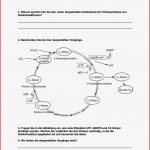 Photosynthese Klasse 7 Arbeitsblatt Synthese Klasse