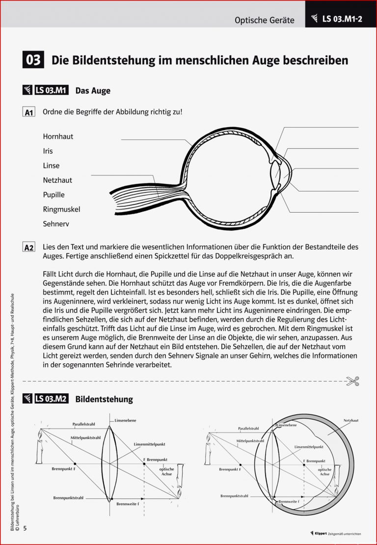 Physik · Arbeitsblätter · Haupt & Realschule · Lehrerbüro