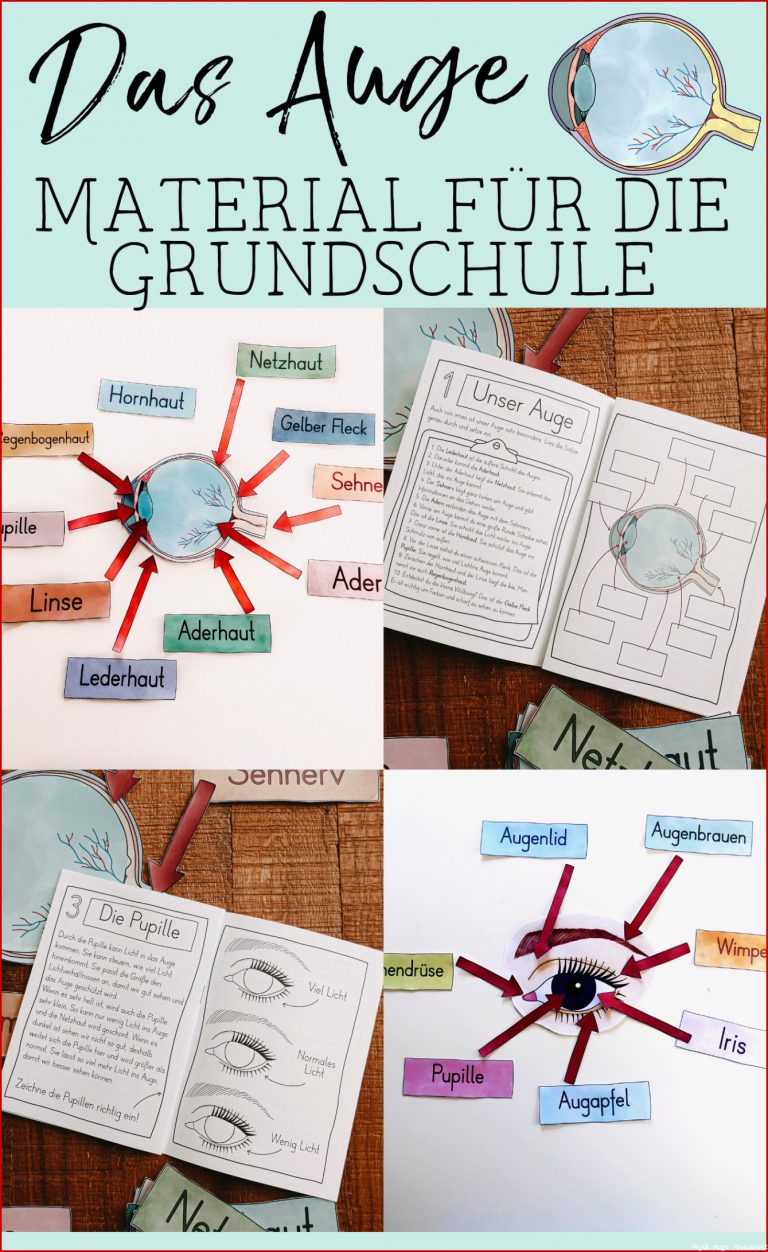Physik Auge Arbeitsblatt Debbie Preston Schule Herunterladen Physik Auge Arbeitsblatt Debbie Preston Schule
