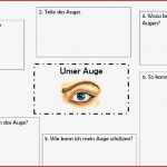 Physik Auge Arbeitsblatt Felipa Allen Grundschule