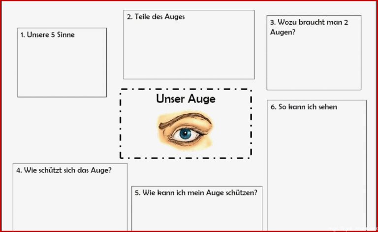 Physik Auge Arbeitsblatt Felipa Allen Grundschule