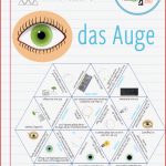 Physik Auge Arbeitsblatt Stephen Scheidt Schule
