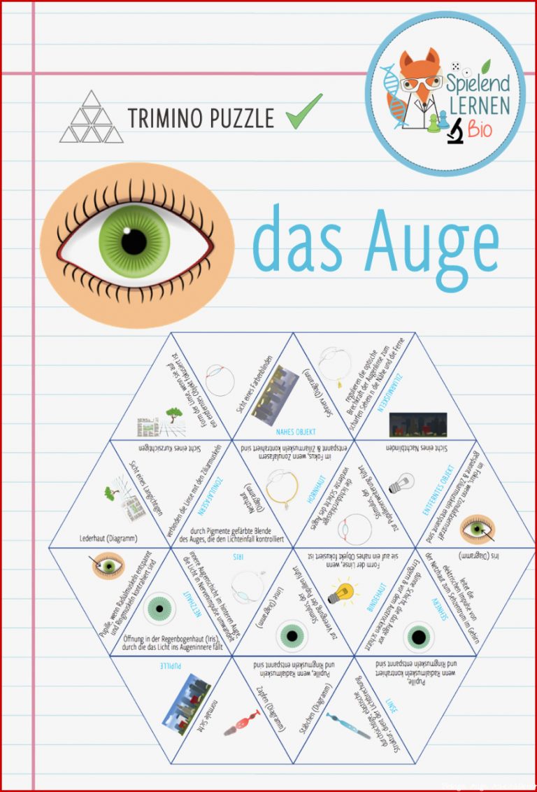 Physik Auge Arbeitsblatt Stephen Scheidt Schule