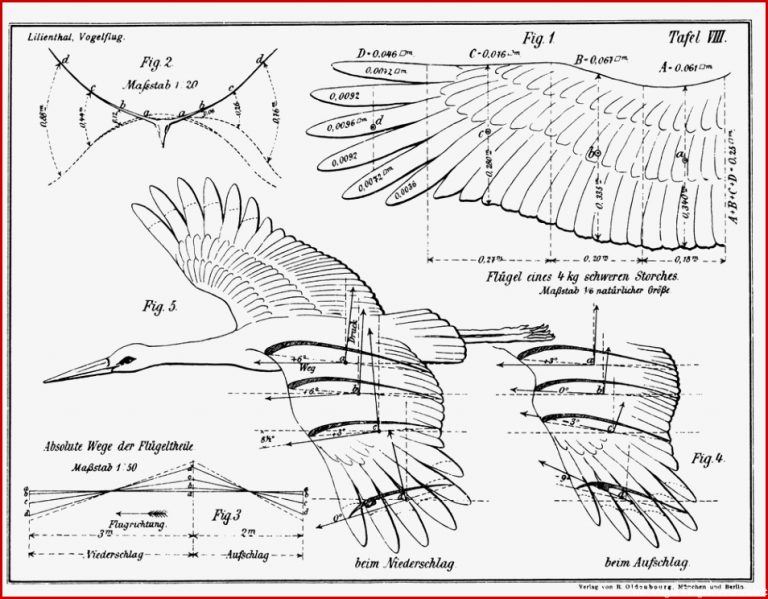 Physik des Fliegens mit dem Rundlauf RL3