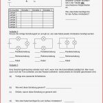 Physik Elektromotor Arbeitsblatt Carl Winslow Grundschule