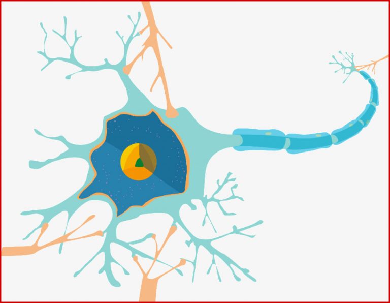 Physiologische Grundlagen der Neurobiologie Biologie zum Download Physiologische Grundlagen der Neurobiologie Biologie