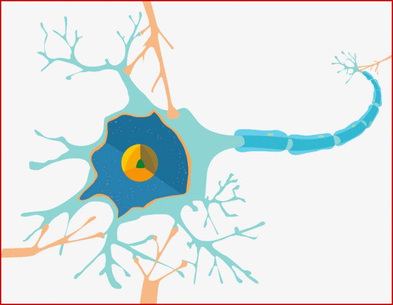 Physiologische Grundlagen Der Neurobiologie Biologie