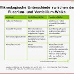 Phytotab Tabellen Der Kategorie Pilze