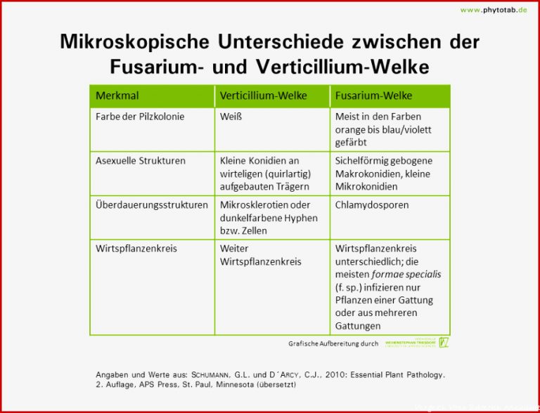 Phytotab Tabellen Der Kategorie Pilze