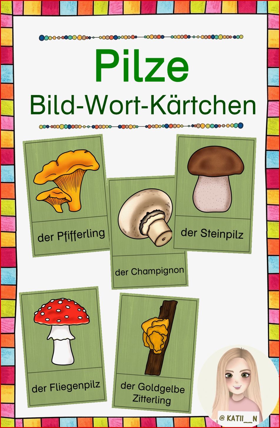 Pilze Bild Wort Kärtchen – Unterrichtsmaterial Im Fach