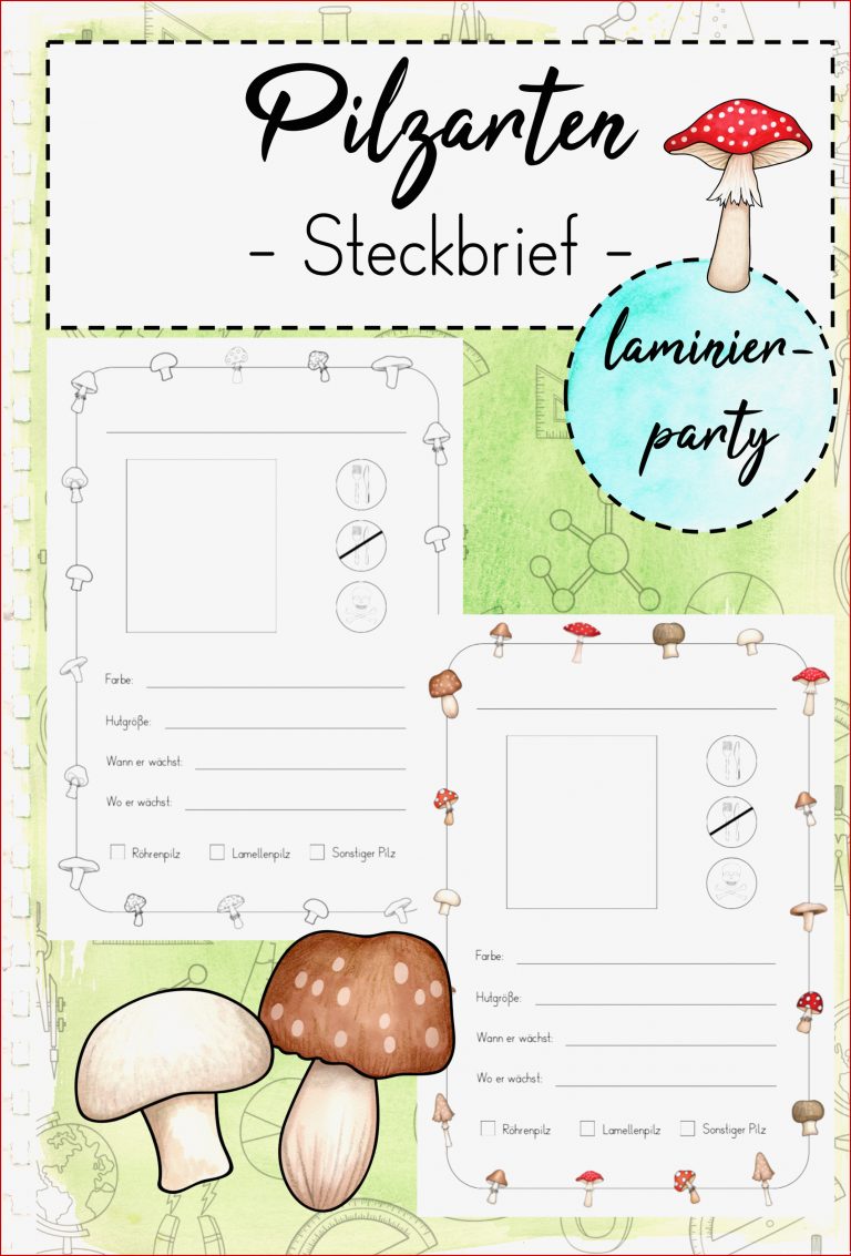 Pilze Steckbriefe Kl 2 – Unterrichtsmaterial in den