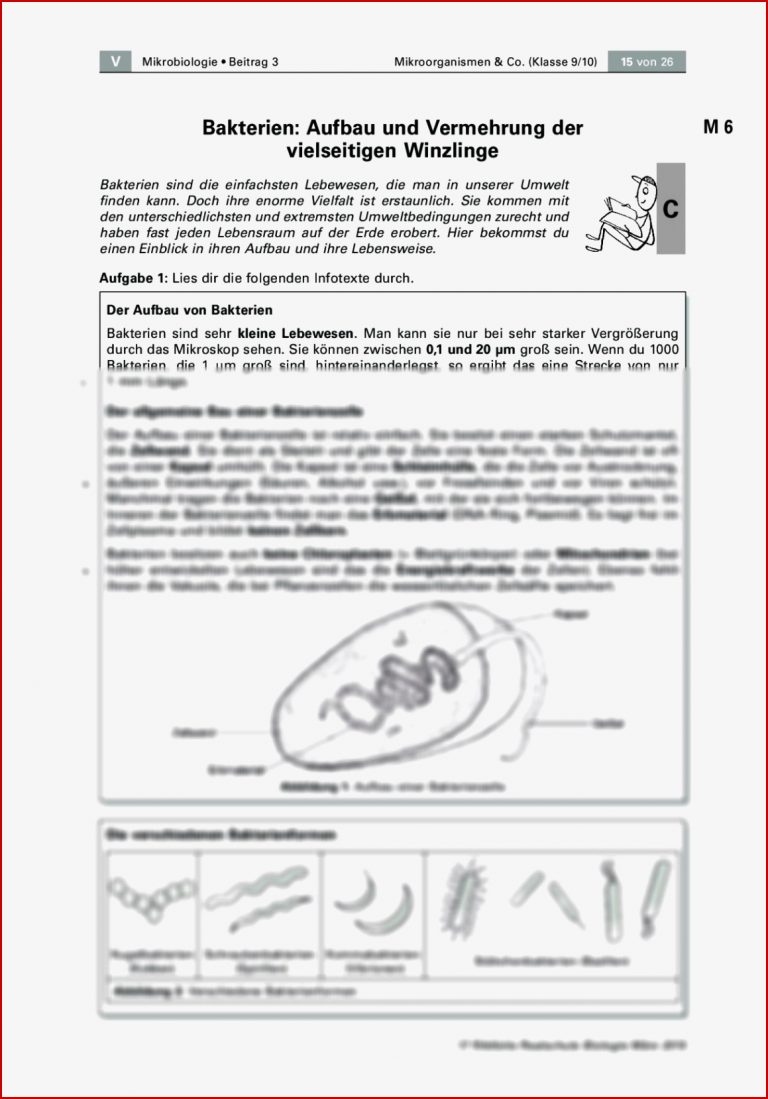 Pilze Unterrichtsmaterial Grundschule kinderbilder