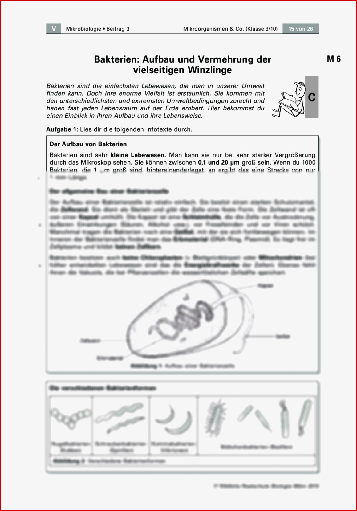 Pilze Unterrichtsmaterial Grundschule Kinderbilder