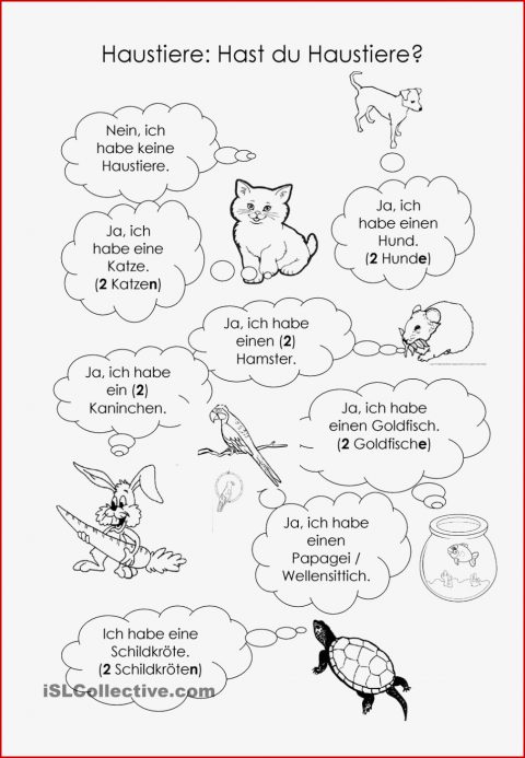Pin Auf школа