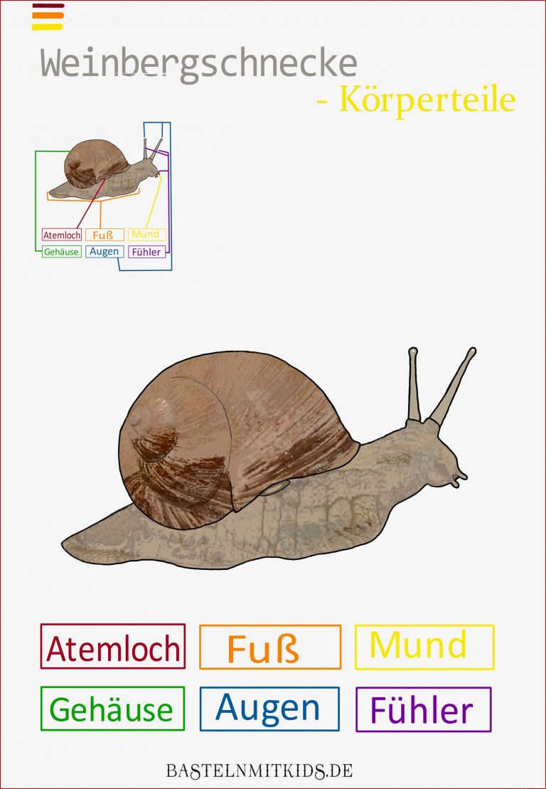 Pin Auf Basteln Mit Kindern