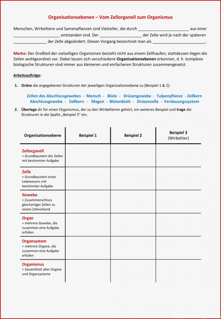 Pin Auf Biologie Sekundarstufe Unterrichtsmaterialien