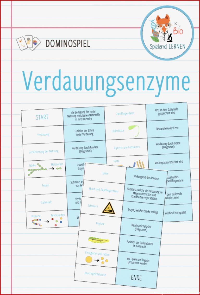 Pin auf Biologie Sekundarstufe Unterrichtsmaterialien