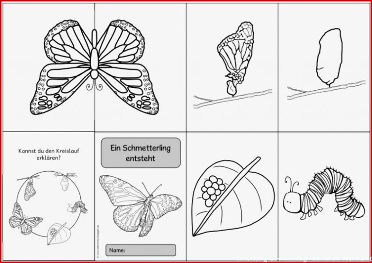 Pin Auf Education