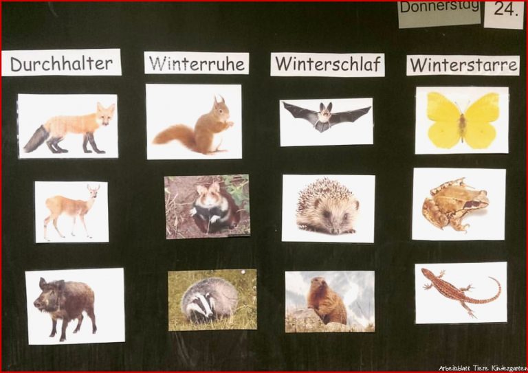 Pin Auf Projete Für Kinder