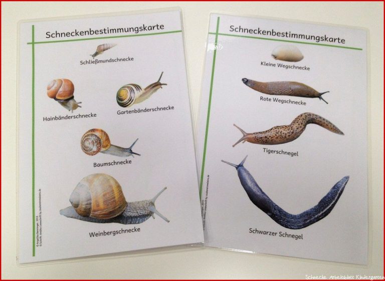 Kostenlose Pin auf Schule Pin auf Schule