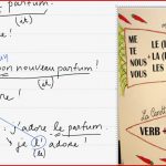 Placement Of French Object Pronouns In A Sentence French