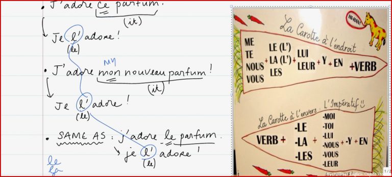 Placement of French Object Pronouns in a sentence French