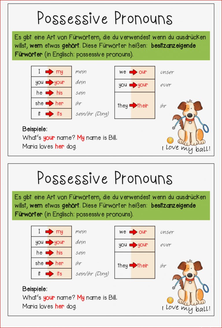 POSSESSIVE ADJECTIVES Merkblatt – Unterrichtsmaterial im