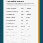 Possessivpronomen