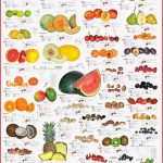 Poster "obst Und Nüsse"" Planet Poster Editions