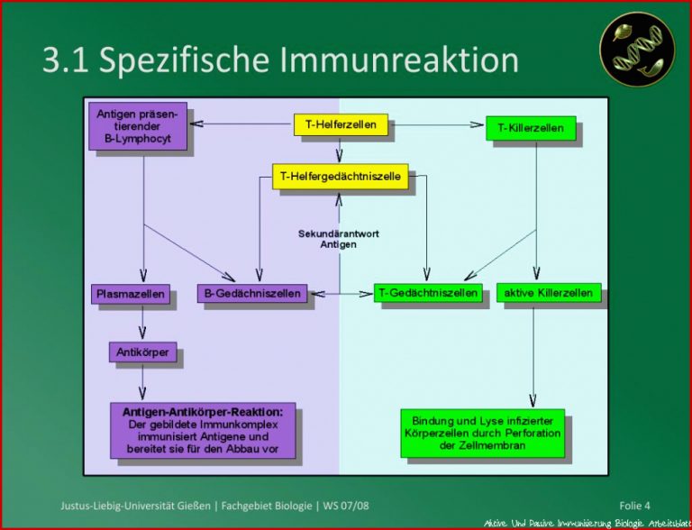 Ppt Aktive & Passive Impfung Powerpoint Presentation