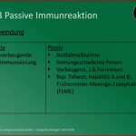 Ppt Aktive & Passive Impfung Powerpoint Presentation
