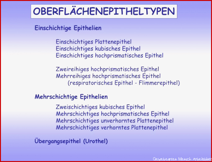 PPT OBERFLÄCHENEPITHELIEN PowerPoint Presentation ID