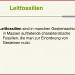 Ppt Sv1 Bedeutung Der Fossilien Für