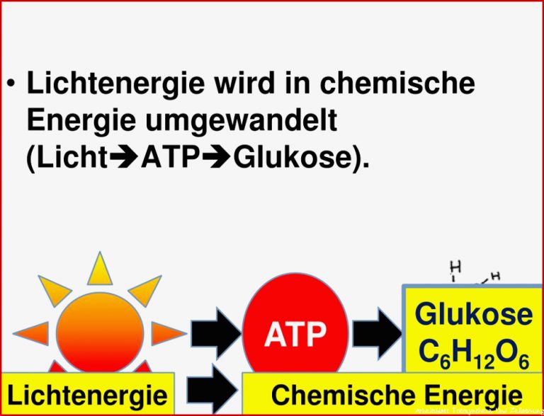 Ppt Zellatmung Und Fotosynthese Powerpoint Presentation