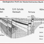 Projekt Braunkohlentagebau