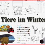 Projekt Tiere Im Winter Kindergarten Und Kita Ideen