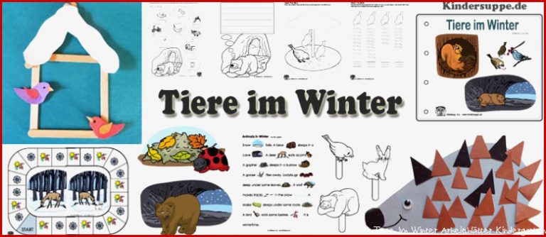 Projekt Tiere Im Winter Kindergarten Und Kita Ideen