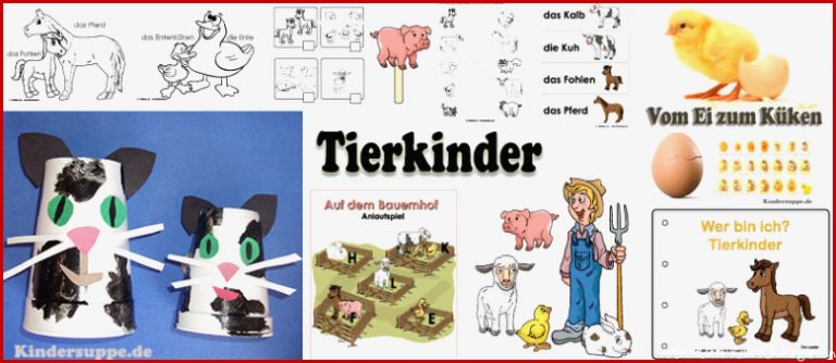 Projekt Tierkinder Auf Dem Bauernhof Kindergarten Und Kita