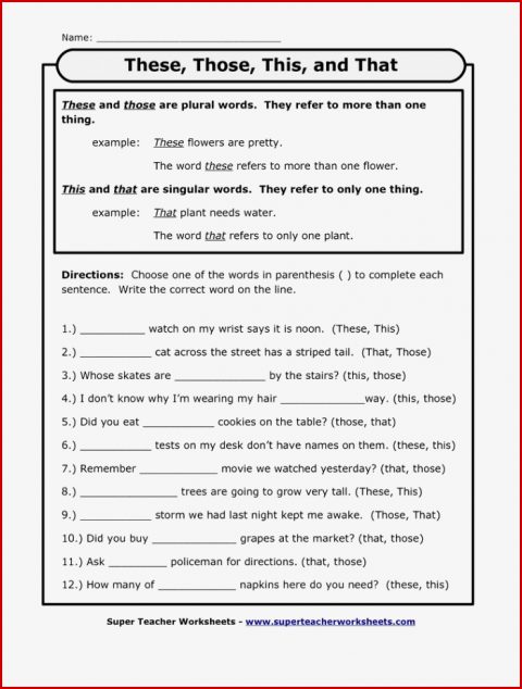 Pronoun Printouts This that these Those