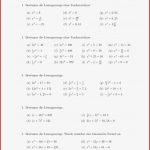 Quadratische Gleichungen Arbeitsblatt 0060