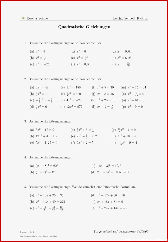 Quadratische Gleichungen Arbeitsblatt 0060