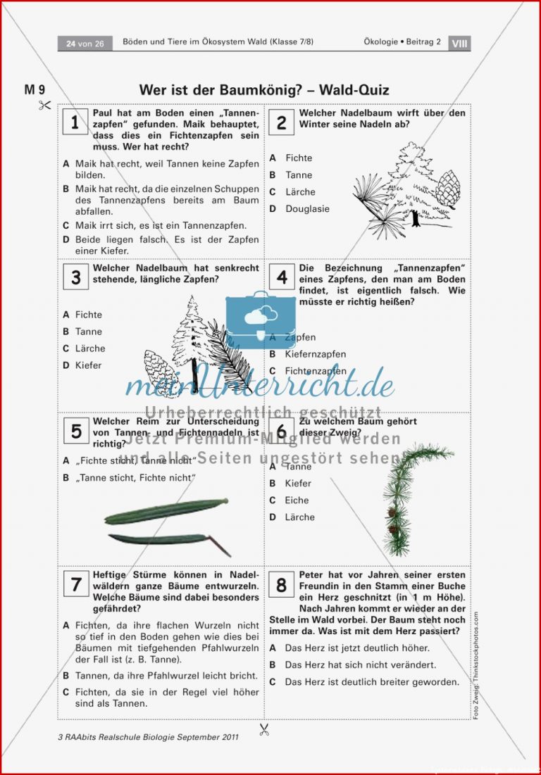 Quiz Zu Waldbäumen Lek Meinunterricht